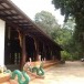 วัดพระธาตุฝุ่น