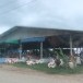 ประวัติหมู่บ้านหนองไผ่พัฒนา