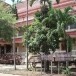 คำขวัญอำเภอหนองบัว จังหวัดนครสวรรค์
