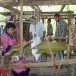 ผ้าซิ่นยวนสีคิ้ว