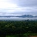 เขตรักษาพันธุ์สัตว์ป่าเวียงลอ