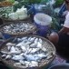 ตลาดตุ๊กแก
