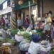 ตลาดตุ๊กแก