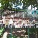 โรงเรียนบ้านลำอีซู