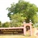 ประวัติบ้านหนองแวง