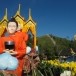 รถขบวนบุปผชาติ