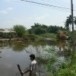 ตำบลบึงสามัคคี