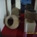 พิพิธภัณฑ์บ้านกุดกวางสร้อย