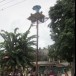 ประเพณีการชิงเปรต 