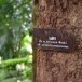 สวนรุกชาติ 100 ปี กรมป่าไม้ ปากปวน