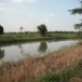 บ้านหนองตาเถร    ตำบลคลองขลุง