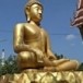 วัดบางปลาหมอ
