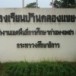 บ้านคลองแขยง  ตำบลท่าพุทรา