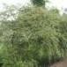 บ้านท่าพุทราเหนือ  ตำบลท่าพุทรา