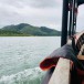 เกาะทวด