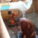 พิธีเถราภิเษก หรือ ฮดสรง บ้านนาหนองแคน หมู่ที่ ๒ ตำบลหนองสูง อำเภอหนองสูง จังหวัดมุกดาหาร