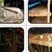 ภูมิปัญญาการเพาะเห็ดฟาง  บ้านซับชุมพล 