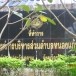 องค์การบริหารส่วนตำบลหนองแก้ว