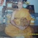 พระครูอมรธรรมสถิต