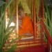 ประเพณีการตั้งธรรมหลวงเดือนยี่เป็งอำเภอแม่แจ่ม