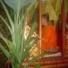 ประเพณีการตั้งธรรมหลวงเดือนยี่เป็งอำเภอแม่แจ่ม