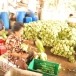 ผักกาดดอง