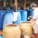 ผักกาดดอง
