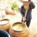 ผักกาดดอง