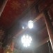 ภาพจิตรกรรมฝาผนังในพระอุโบสถ(ลวดลายกนก)