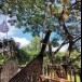 ชุมชนคุณธรรมวัดพวงคำ ชุมชนต้นแบบ “เที่ยวชุมชน ยลวิถี”