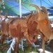การจัดตกแต่งหมรับ