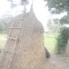 กองฟาง
