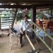 เกิ๋น-บันไดไม้ไผ่