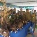 ผลิตภัณฑ์กะลามะพร้าว (กระปุกออมสินรูปควาย)