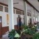 โรงเรียนบ้านหัวปาบ