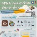 4DNA อัตลักษณ์จันท์ ของอำเภอท่าใหม่