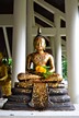 วัดโพธิ์บางคล้า