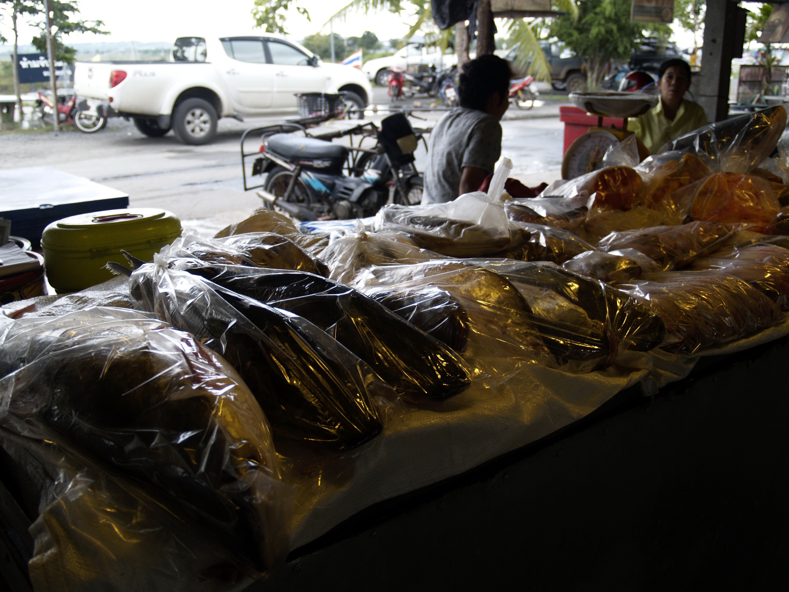 ตลาดปลาชัยบาดาล(เขื่อนป่าสัก)