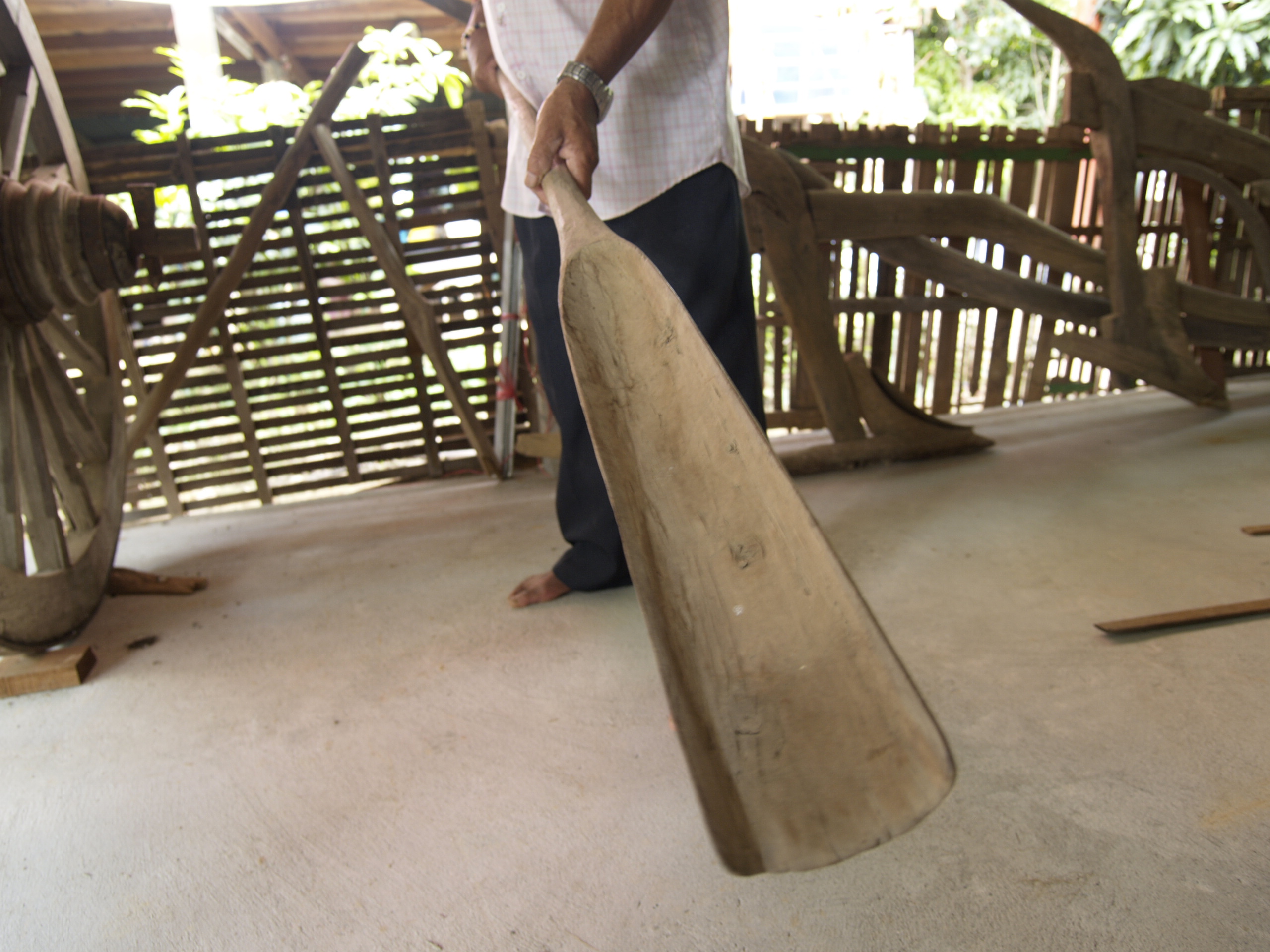 กาบสาดข้าวยาว (พลั่ว)