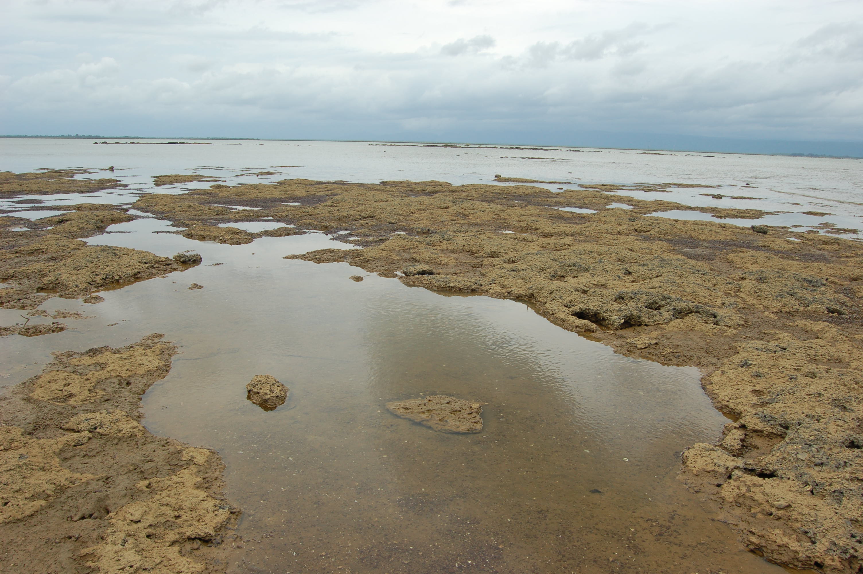 แหล่งท่องเที่ยวเชิงเกษตร ลานปูใบ้