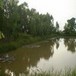 บ้านโนนเมืองน้อย